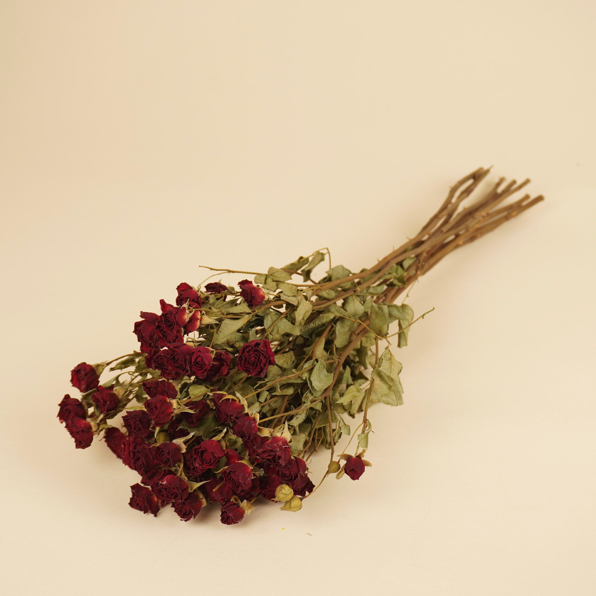 Dried dark red roses