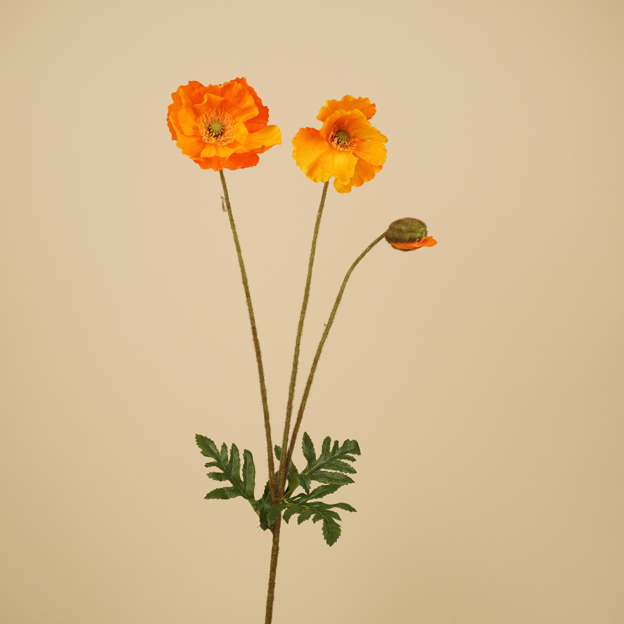 Branche de pavot en soie – Pavot orange (75 cm)