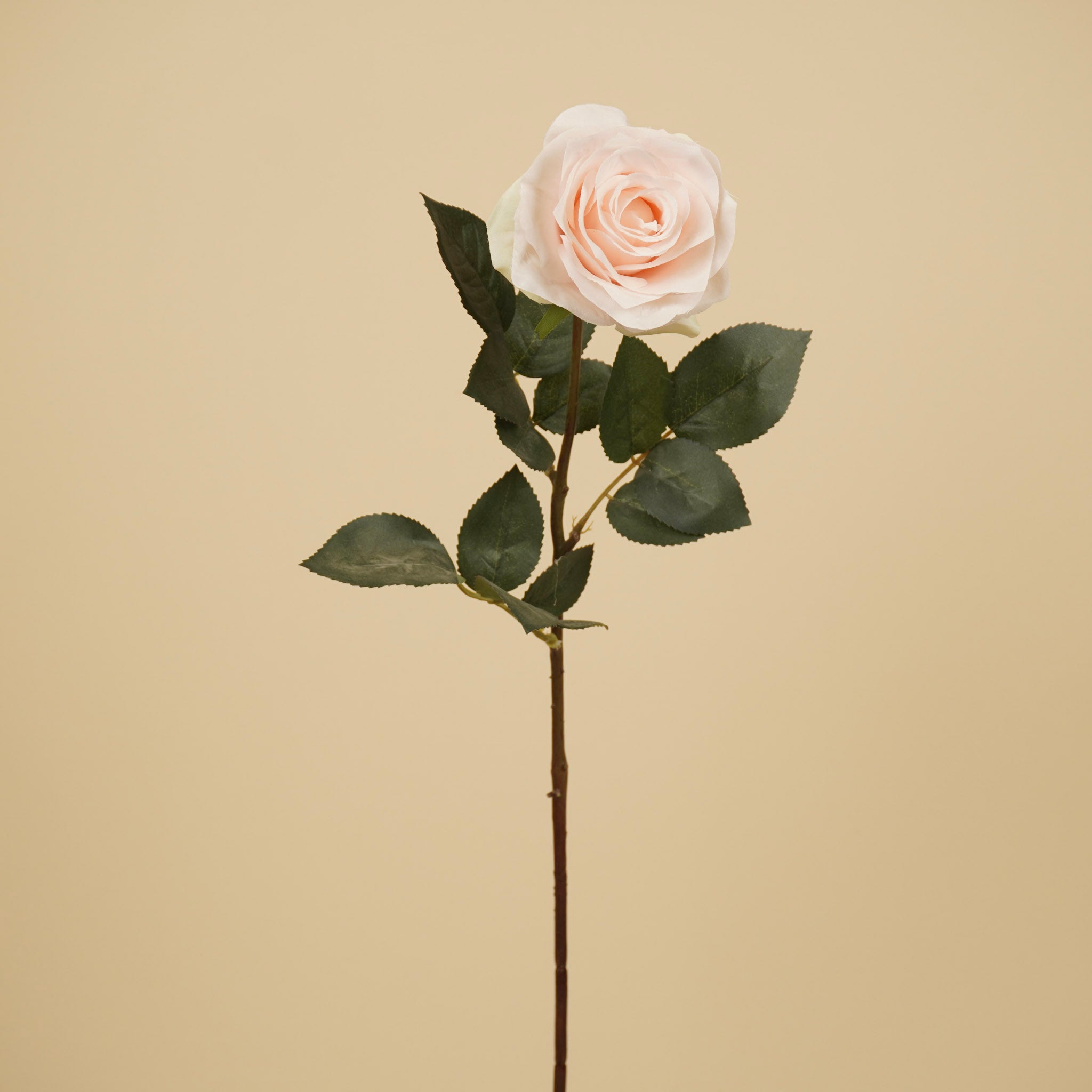 Rose de soie Simone – Rose clair (73 cm)