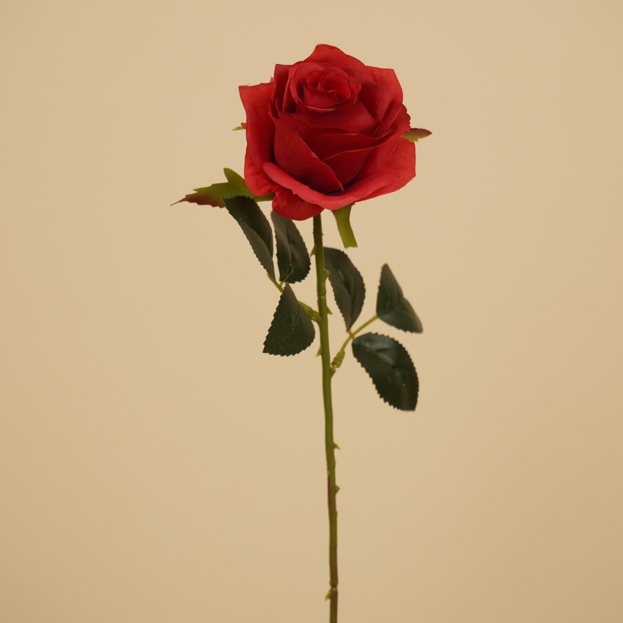 Rose de soie Simone – Rouge foncé (45 cm)