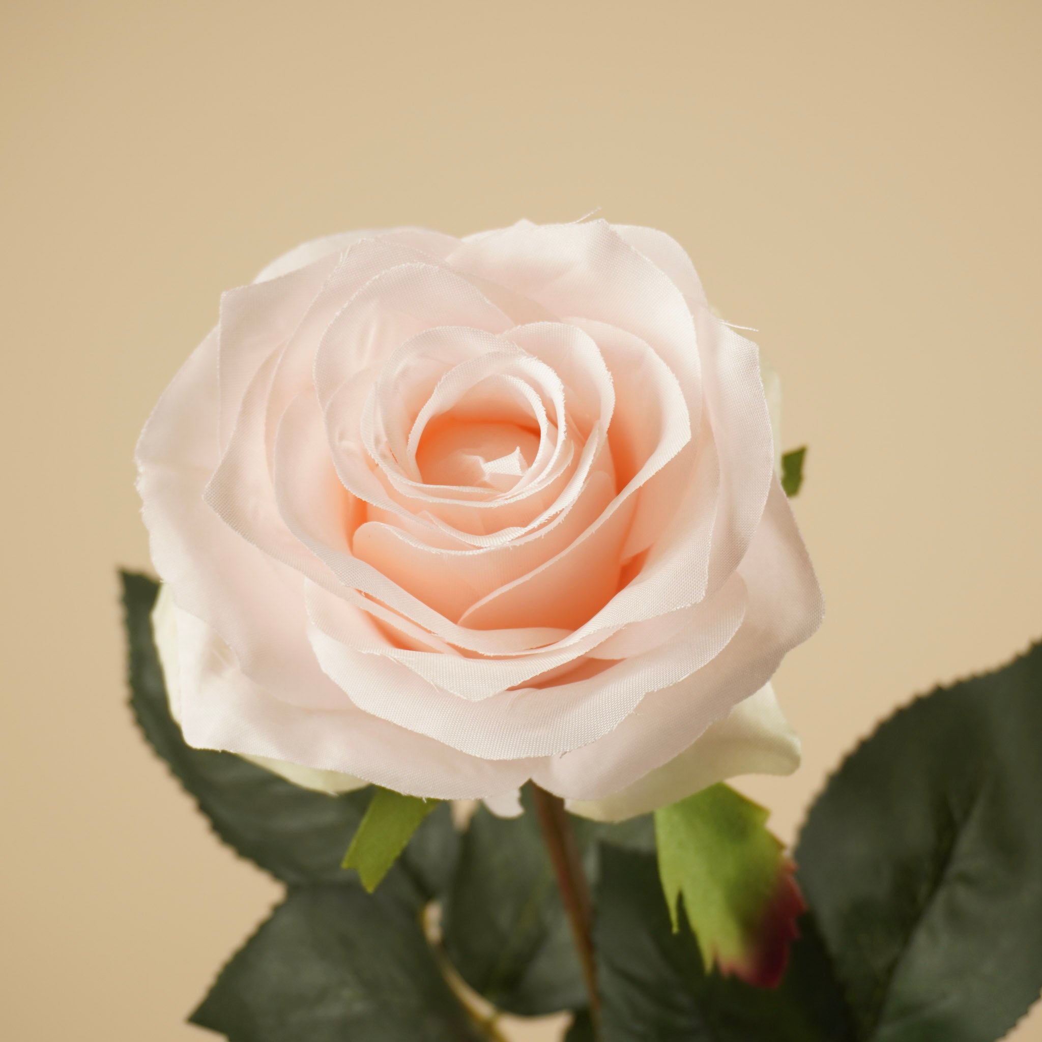 Rose de soie Simone – Rose clair (73 cm)