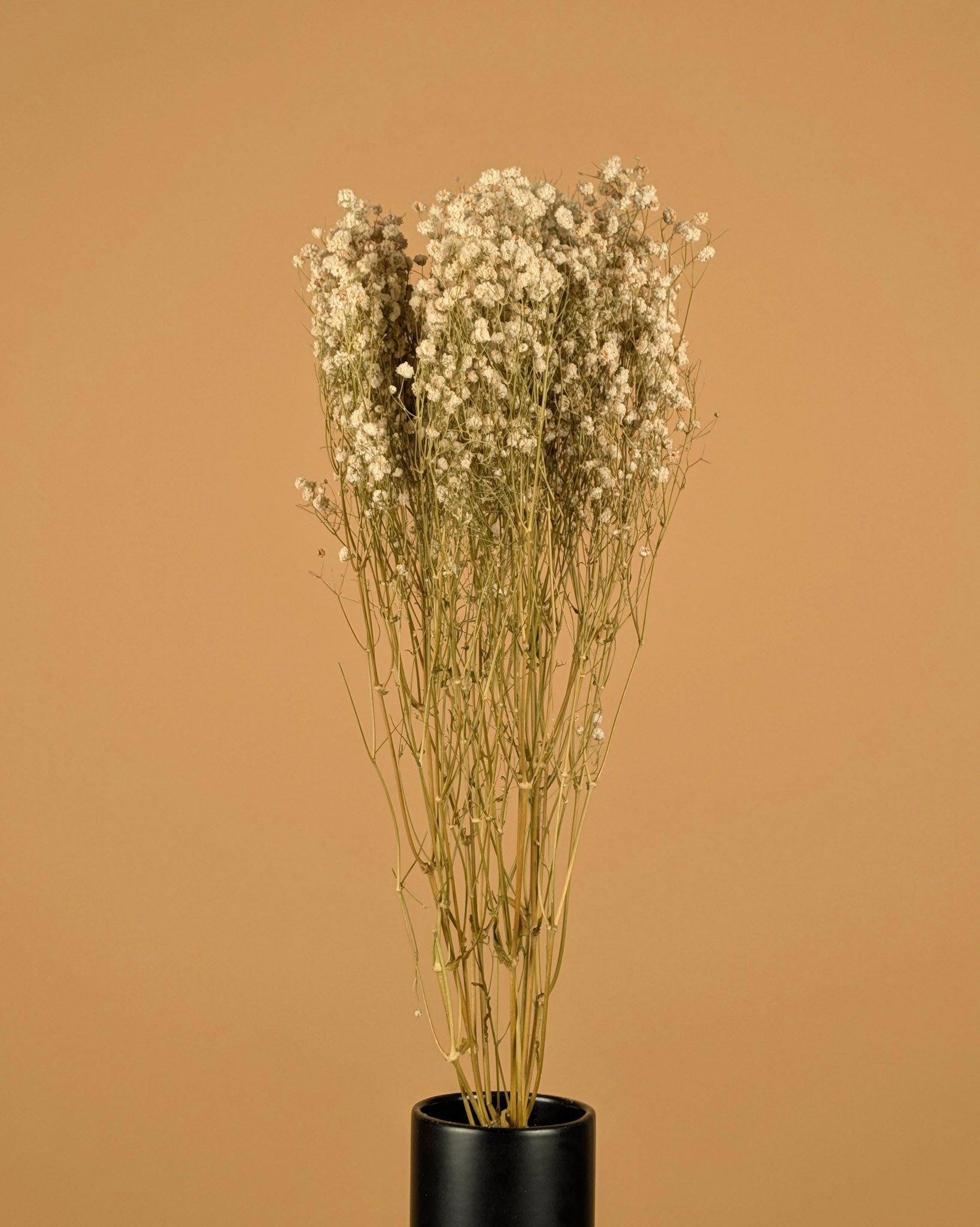 Gedroogd gipskruid (gypsophila) – wit naturel