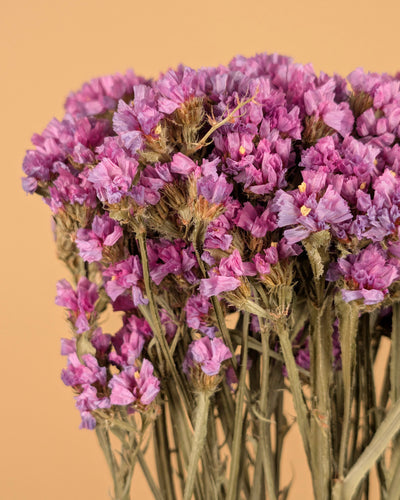 Gedroogde statice sinuata – lila