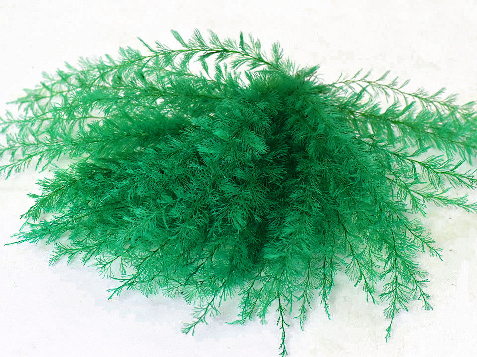 Air Fern Green 15cm 5-pack