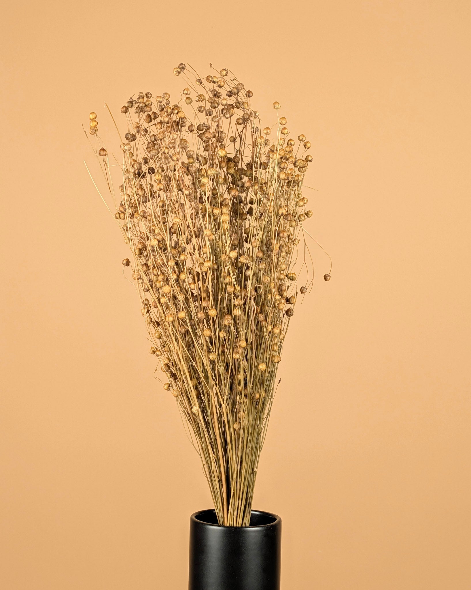 Dried Lino Vlas Naturel (Linum)