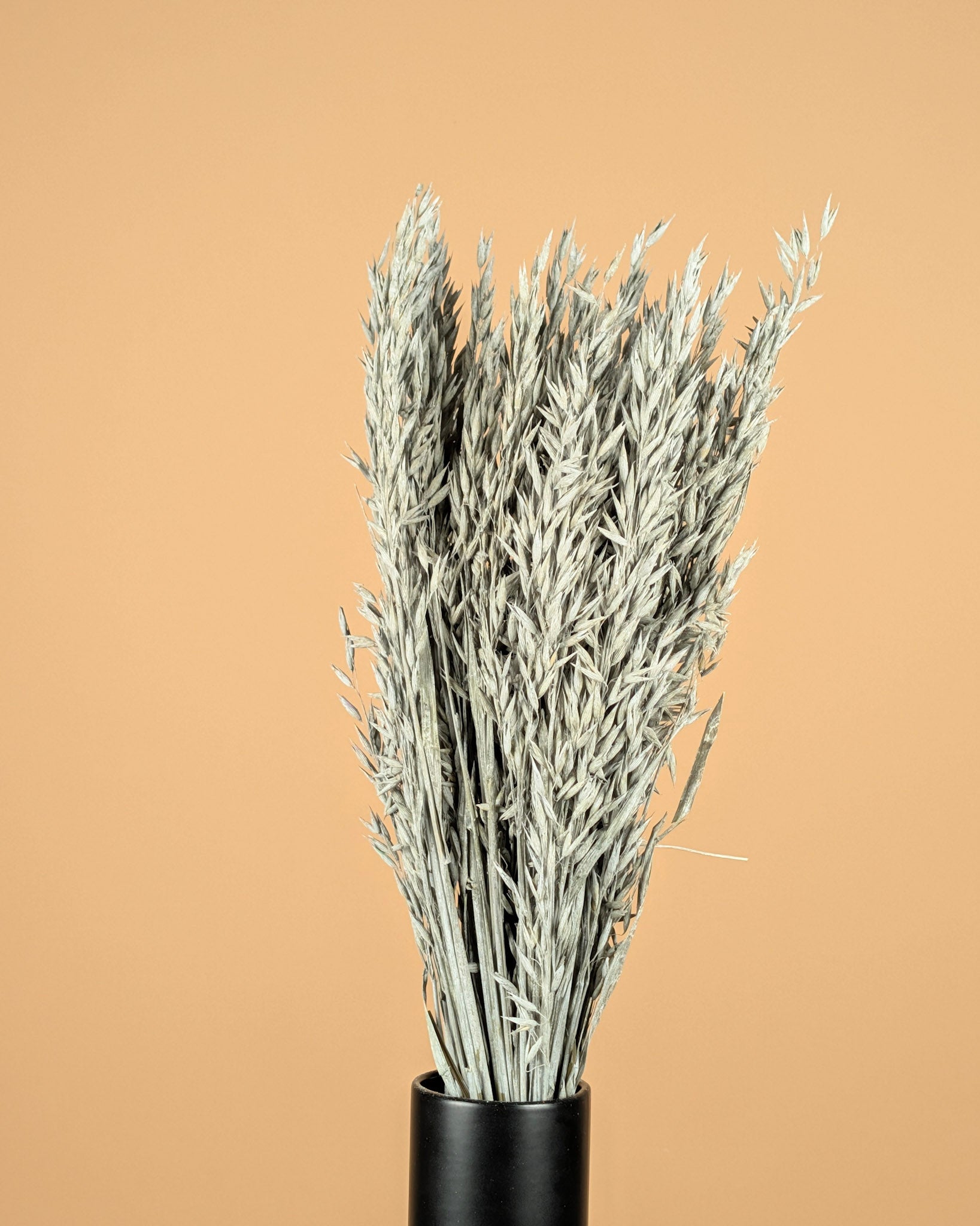 Dried oats gray wash colored