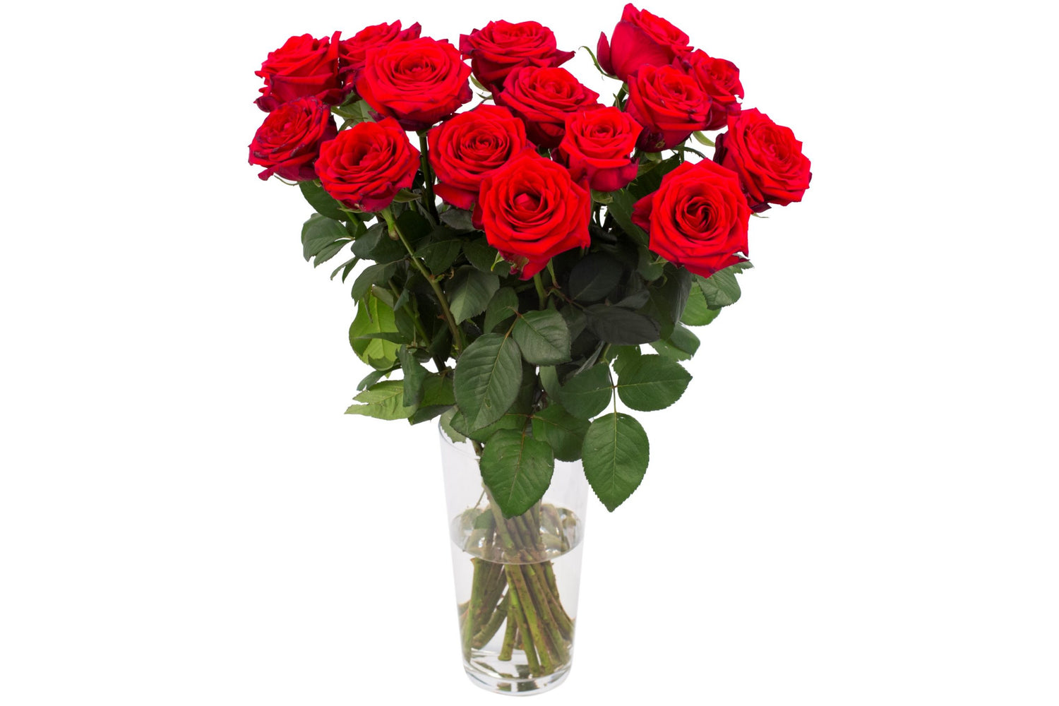 Bouquet de 15 roses de naomi rouge