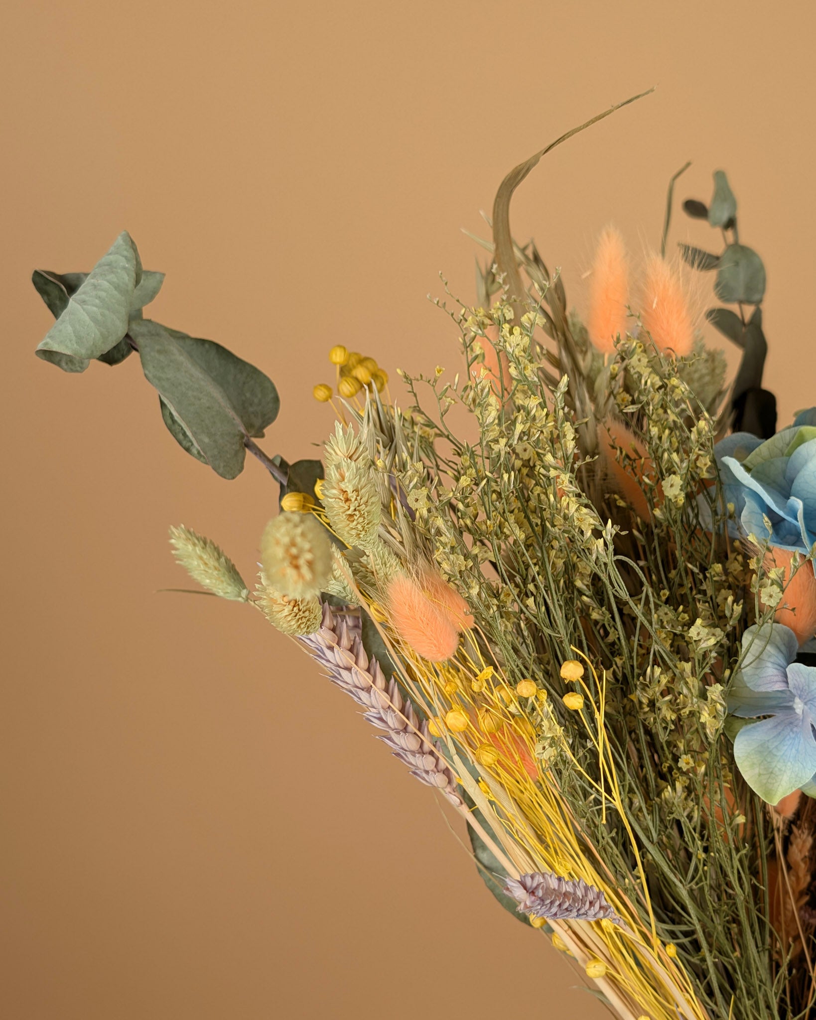 Trockenstrauß wirklich geliebt