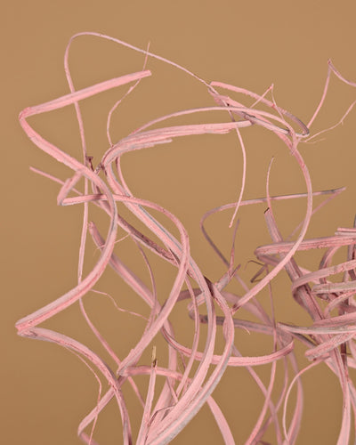 Curly Ting Pink Misty