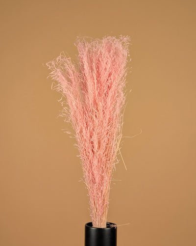 Gedroogd munni grass gebleekt - licht roze