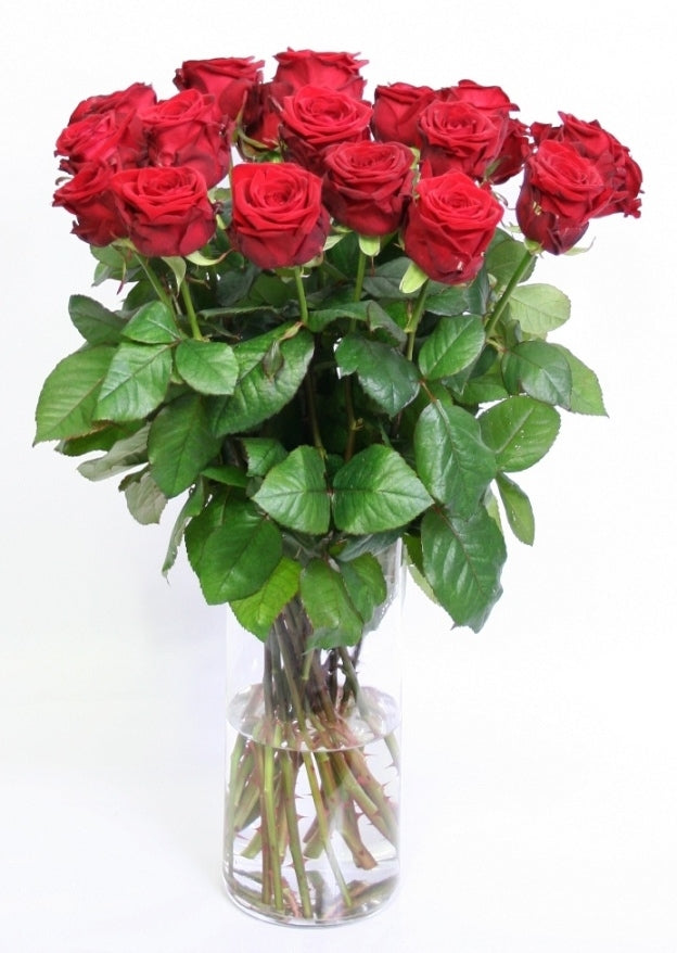 Rote Rosen Bouquet von langen großen Rosen