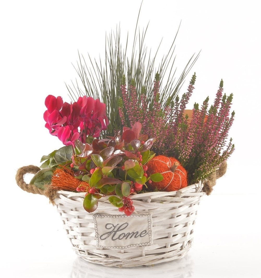 Autumn plants in a white basket