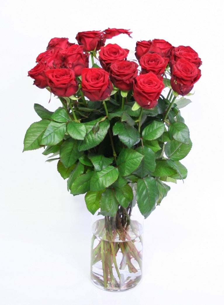 Bouquet de rose rouge avec 1 rose blanche de grandes roses fluide