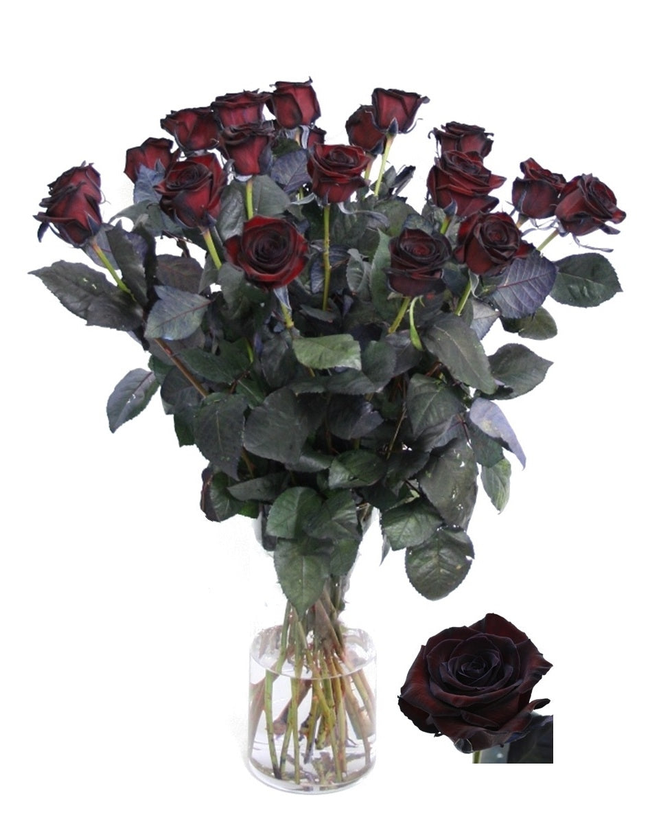 Black roses bouquet of long large -flowered painted roses