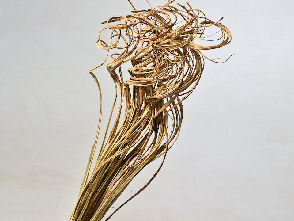 Lockiger Ting Rattan