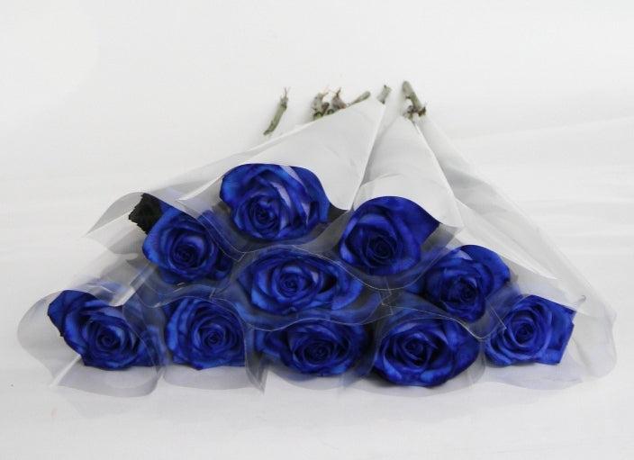 Blue roses of 70 cm packed in a frosted white case