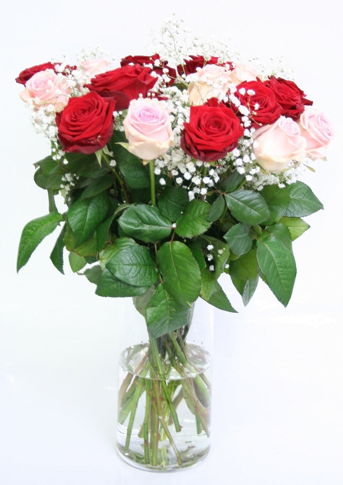 Roses bouquet of 10 pink roses and 10 red roses with gyps