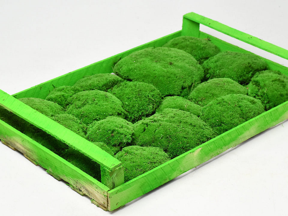 Bolmos vert clair (caisse 38x58 cm)