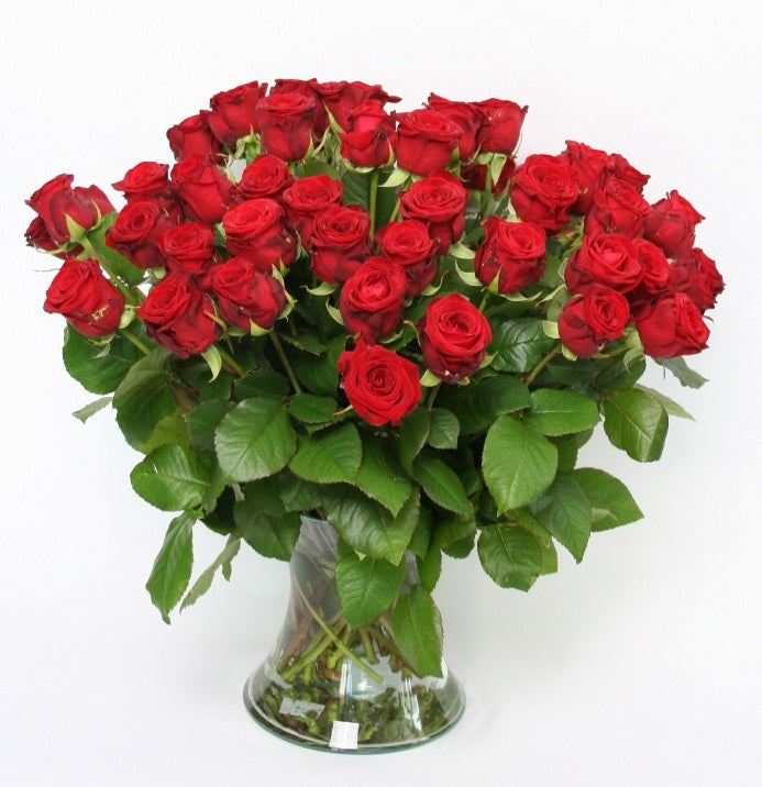 50 red roses bouquet of large -flowered roses