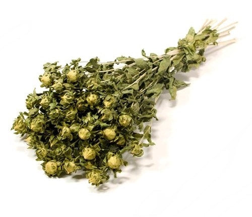 Dried Carthamus Green (natural)