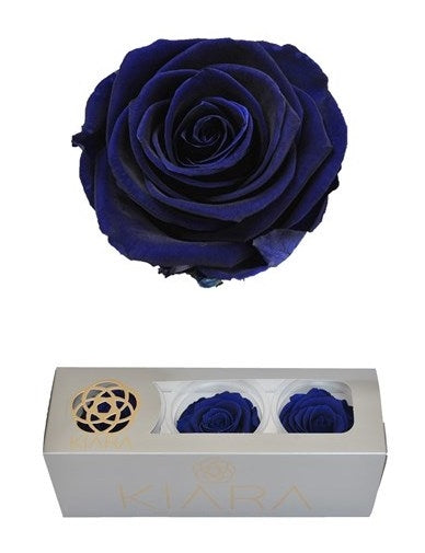 Geconserveerde Ocean Blue Rozen in een cadeaubox