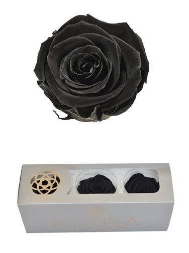 Geconserveerde Black Beauty Rozen in een cadeaubox