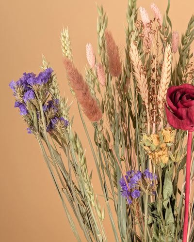 Délice de Bourgogne – Bouquet de fleurs séchées des champs (60 cm)