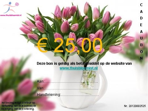 Cadeaubon om iemand te verrassen van € 25,00.