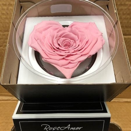 Geconserveerd roze Rozen hart in een cadeaubox