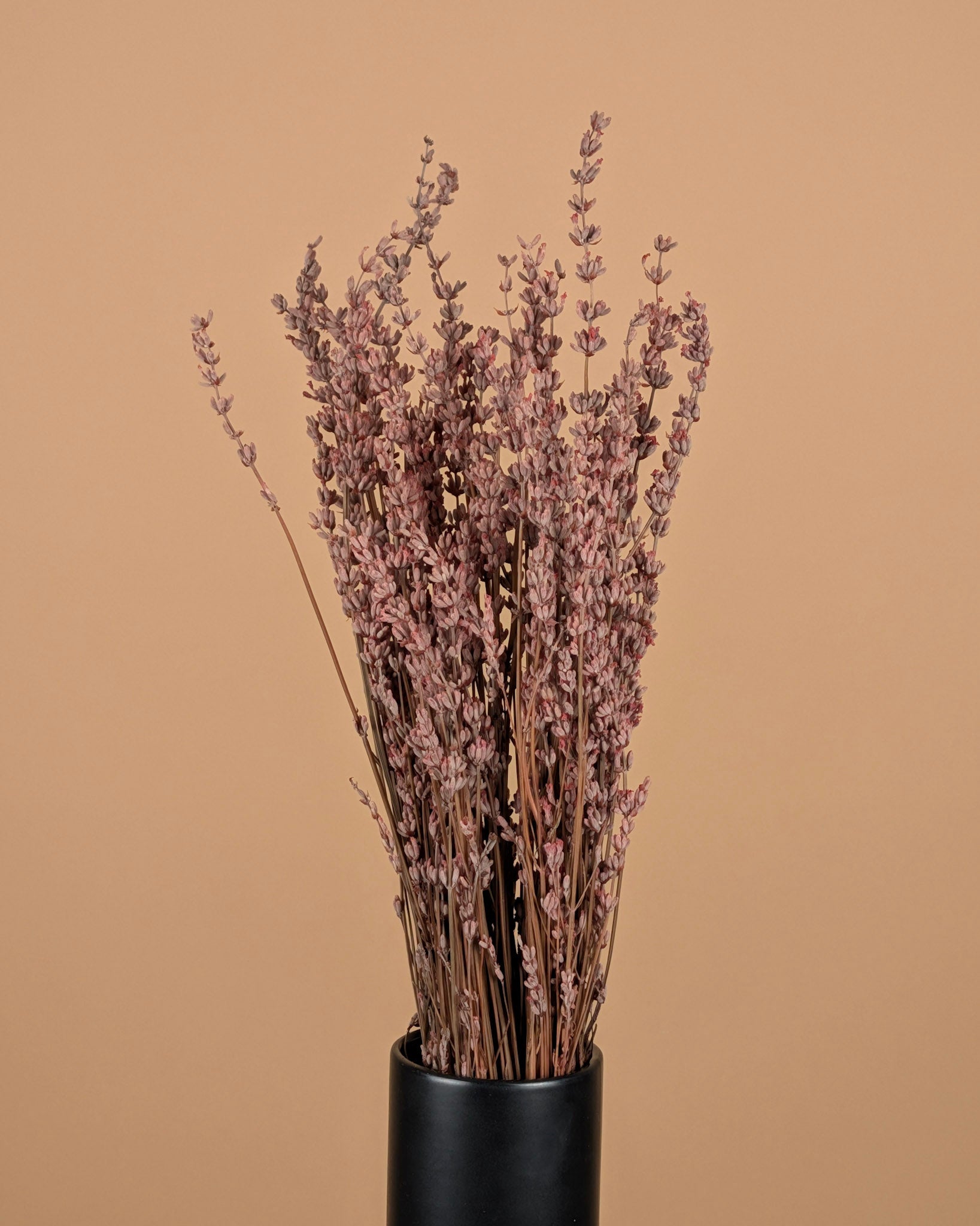 Botao Botton Dark blue dried