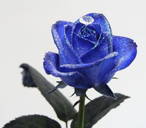 Boeket van blauwe geglitterde Rozen met een diamantje