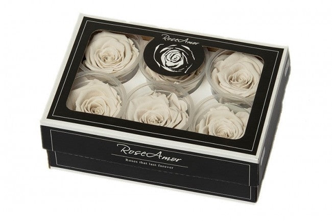 Geconserveerde witte Rozen in een cadeaubox