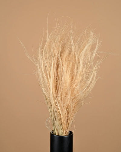 Stypa Penata Naturel