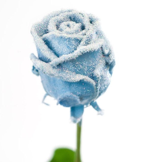 Boeket van grootbloemige wax Rozen licht blauw met sneeuw