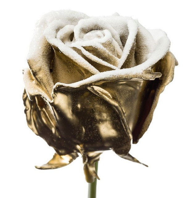 Bouquet of large -flowered wax roses gold colorful snowy