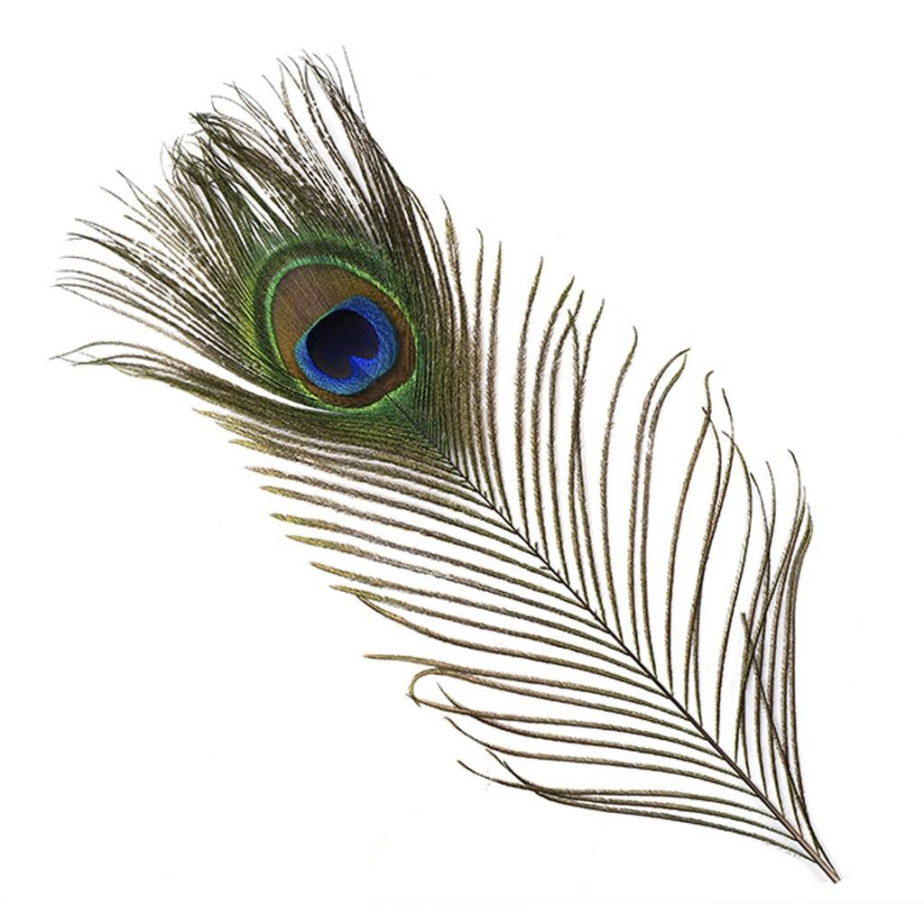 Peacock entspringt mit einem Auge extra lang