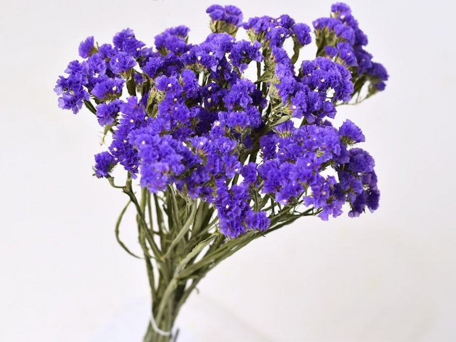 Gedroogde Statice Sinuata donker violet