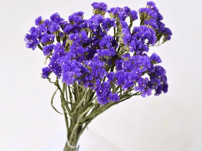 Gedroogde statice sinuata (lamsoor) – donker violet