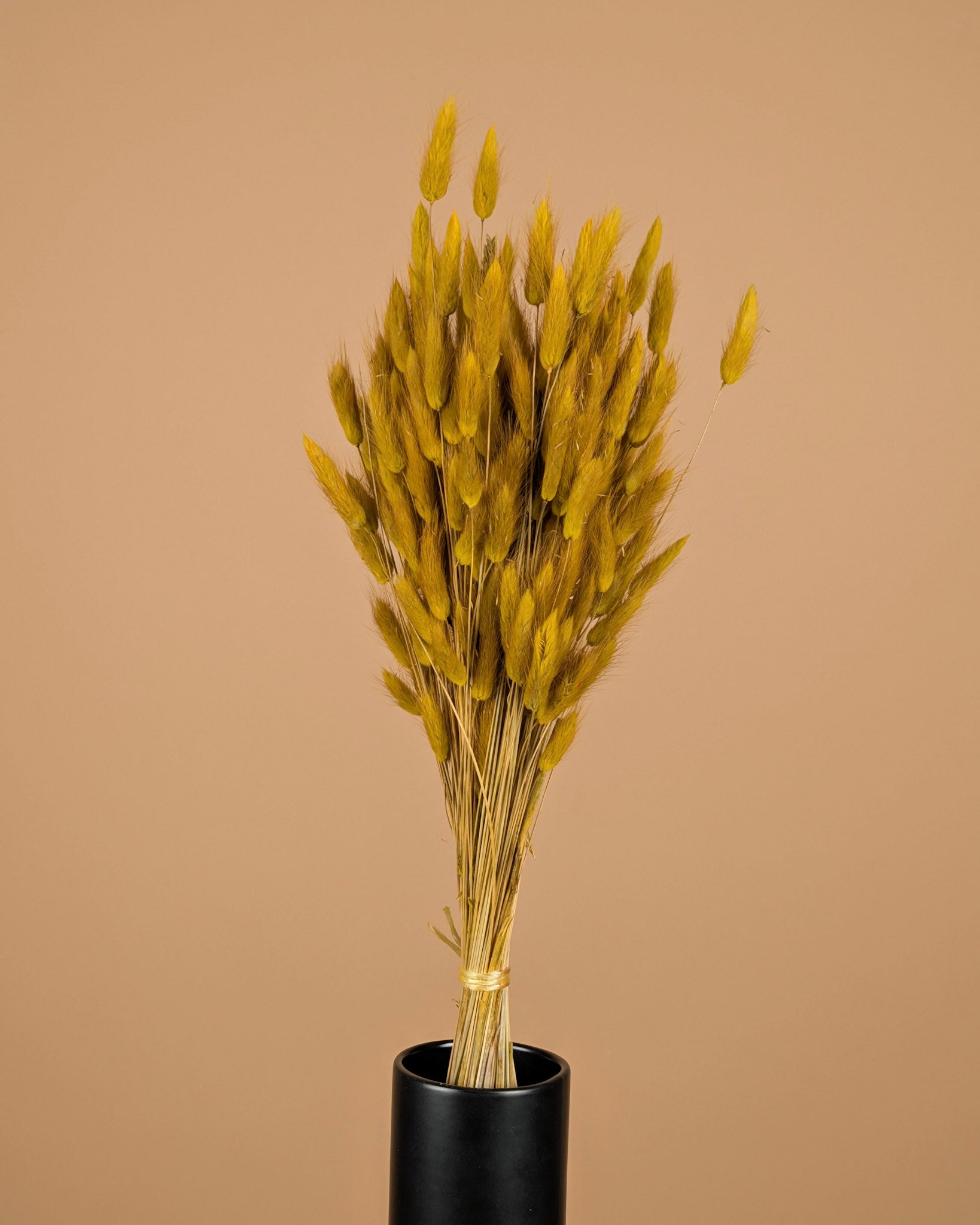 Botao Botton Dark blue dried