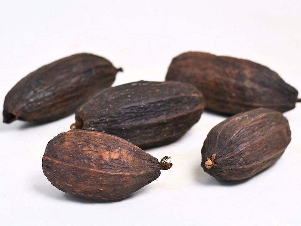 Brun de haricots de cacao séché 12-18cm