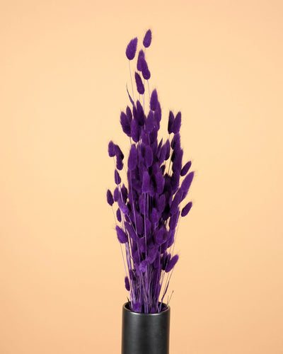 Botao Botton Dark blue dried