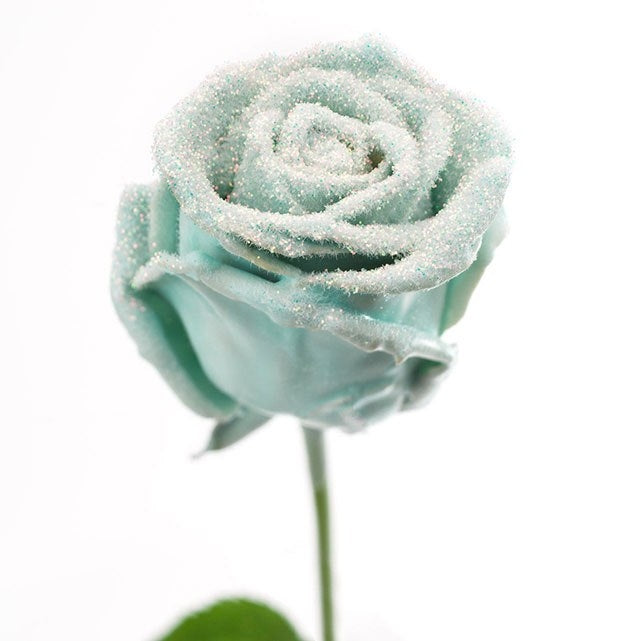 Bouquet of large -flowered wax roses vintage with snow