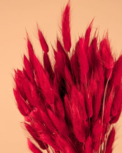 Botao botton bleu foncé séché