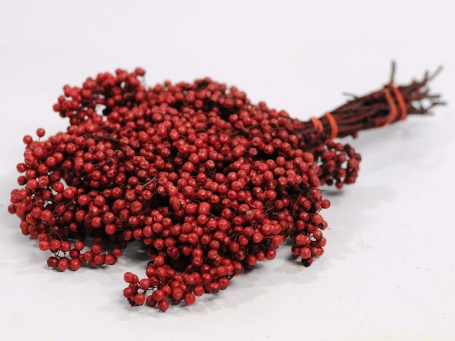 Pfefferbeeren rot 25-35 cm