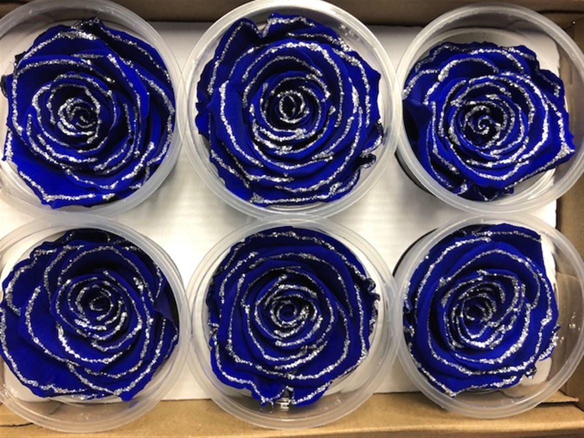 Geconserveerde blauwe Rozen met glitters in een cadeaubox