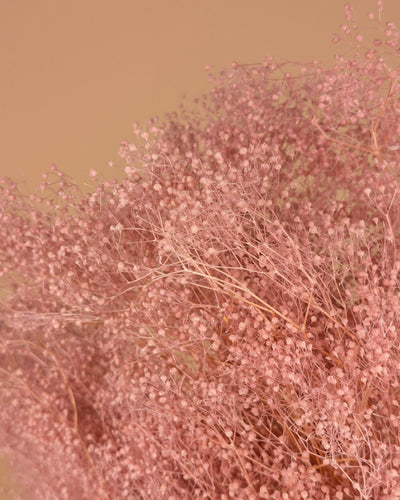 Gepreserveerde mini gypsophila (gipskruid) – roze