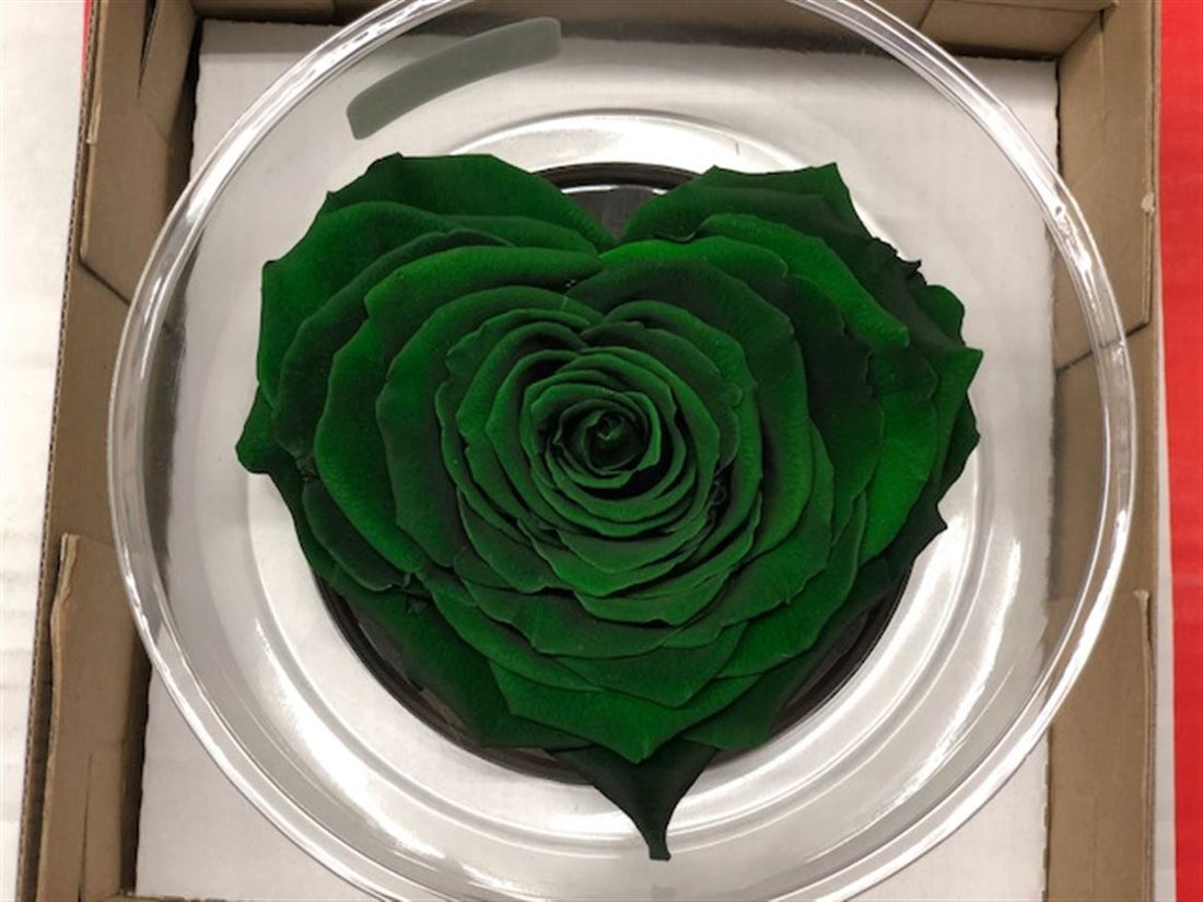 Geconserveerd groene Rozen hart in een cadeaubox