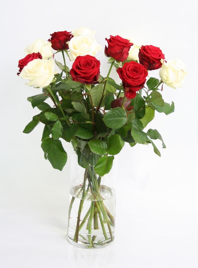 Rosenstrauß von roten und weißen Rosen