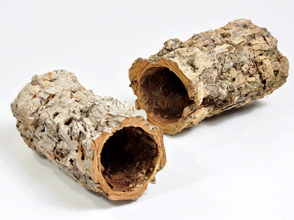 Casca OCA 18-22cm, diameter 6-9cm