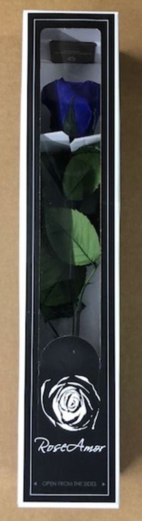 Konservierte blaue Rose mit Stahl in einer Geschenkbox
